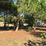 Quinta Turki Malika וילה
