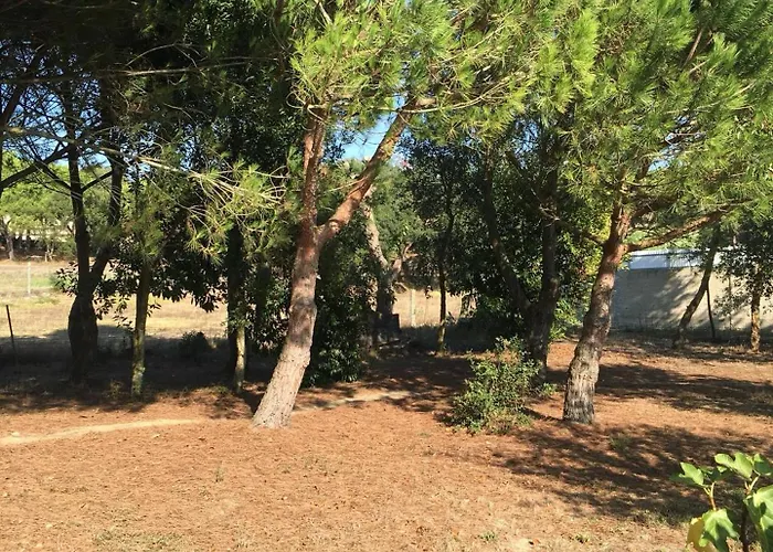 Quinta Turki Malika Villa